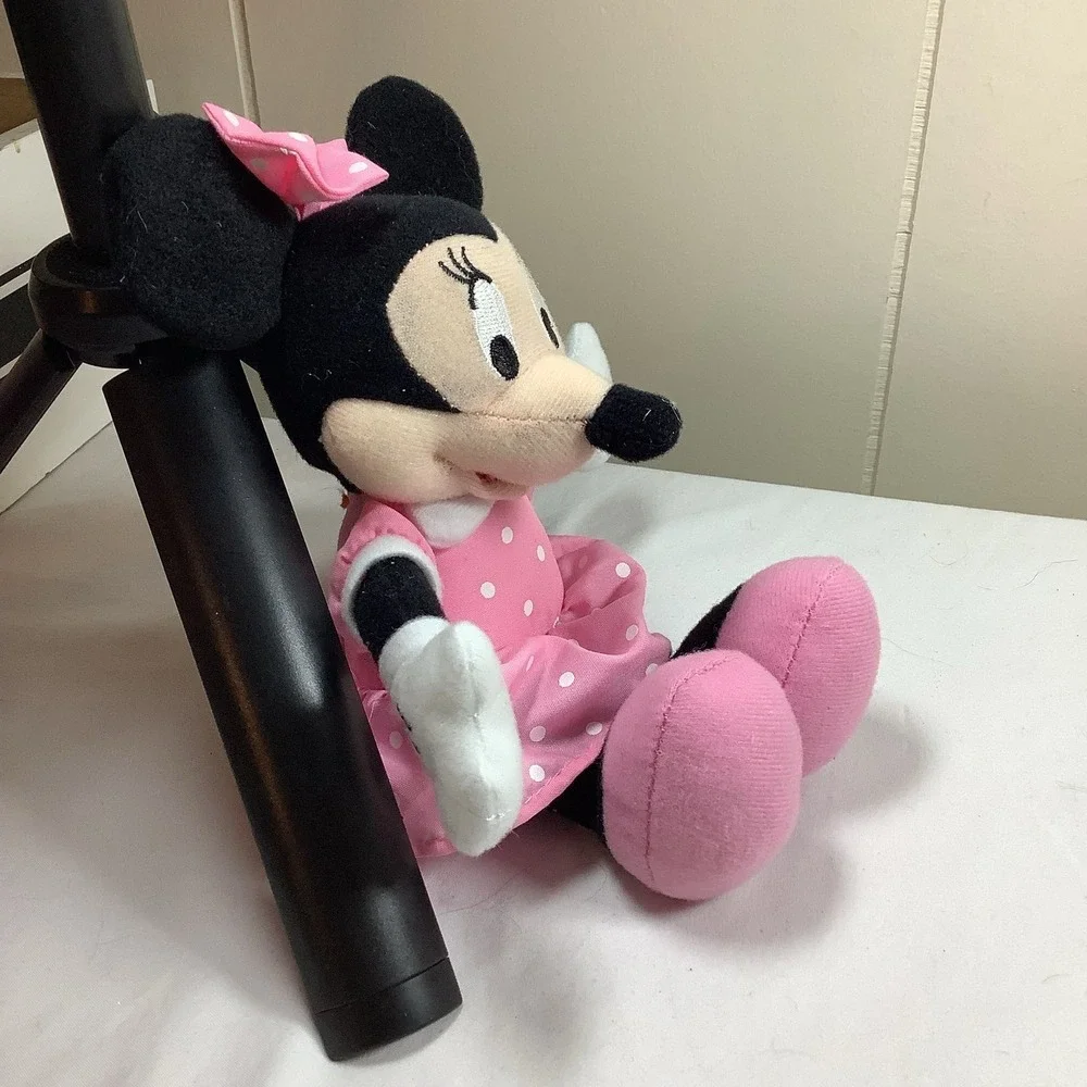 Disney bring home